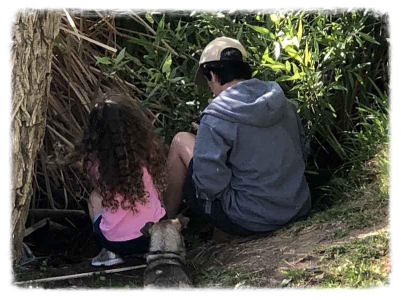 The Creative Expressions of Andrew Roger Teske.