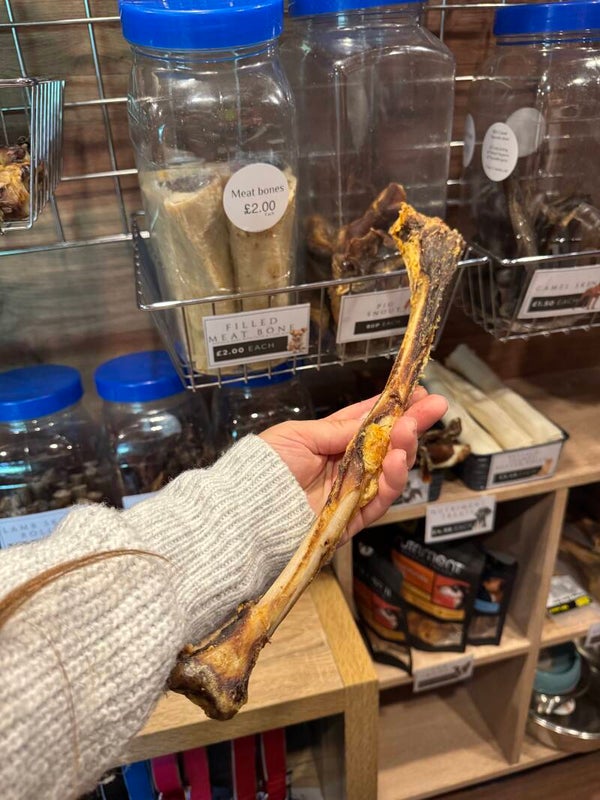 Ostrich wing