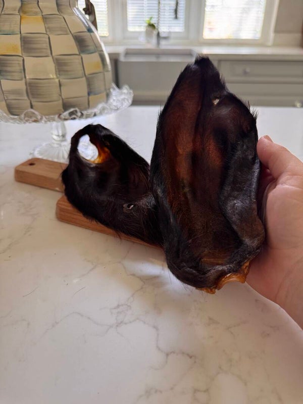 Hairy cow ear