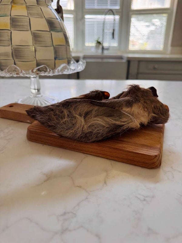 Venison ear