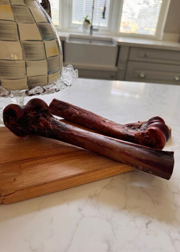 Ostrich bones