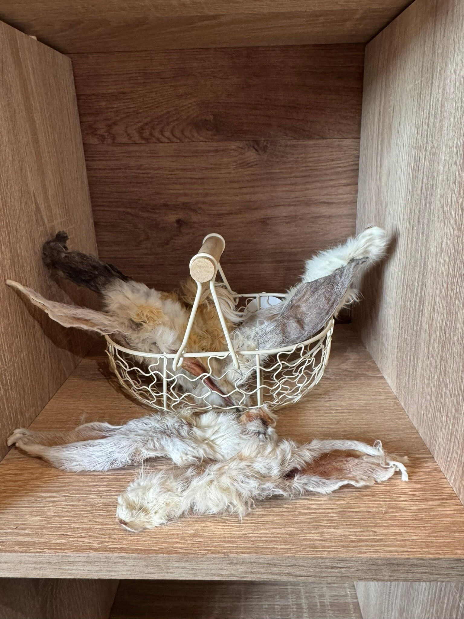 Rabbit ear