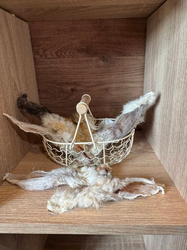 Rabbit ear