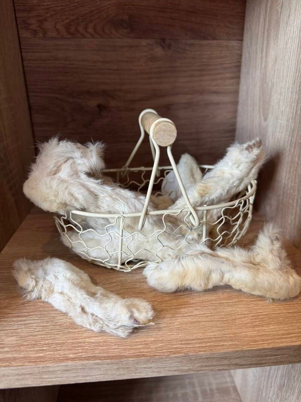 Rabbit foot