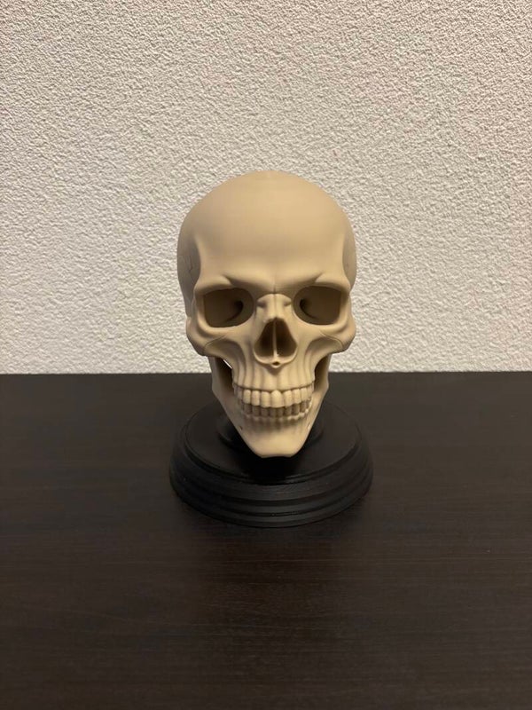 Skull Stand