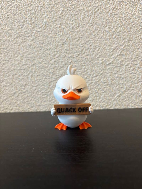 Duck (AwA)