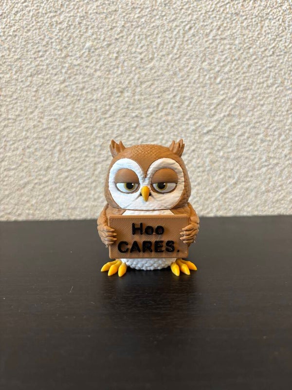 Owl (AwA)