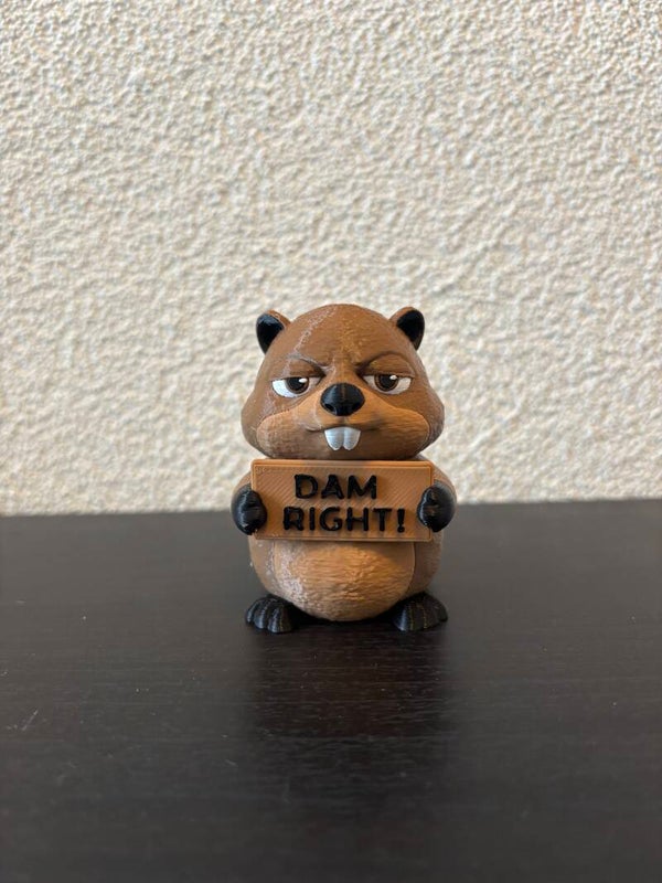 Beaver (AwA)