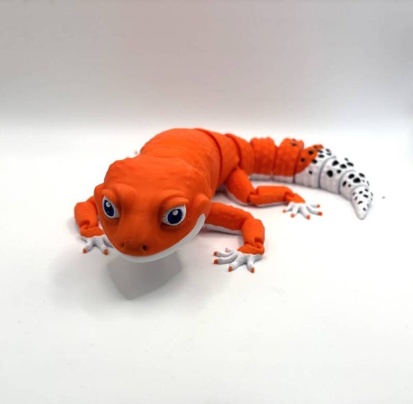 Gecko