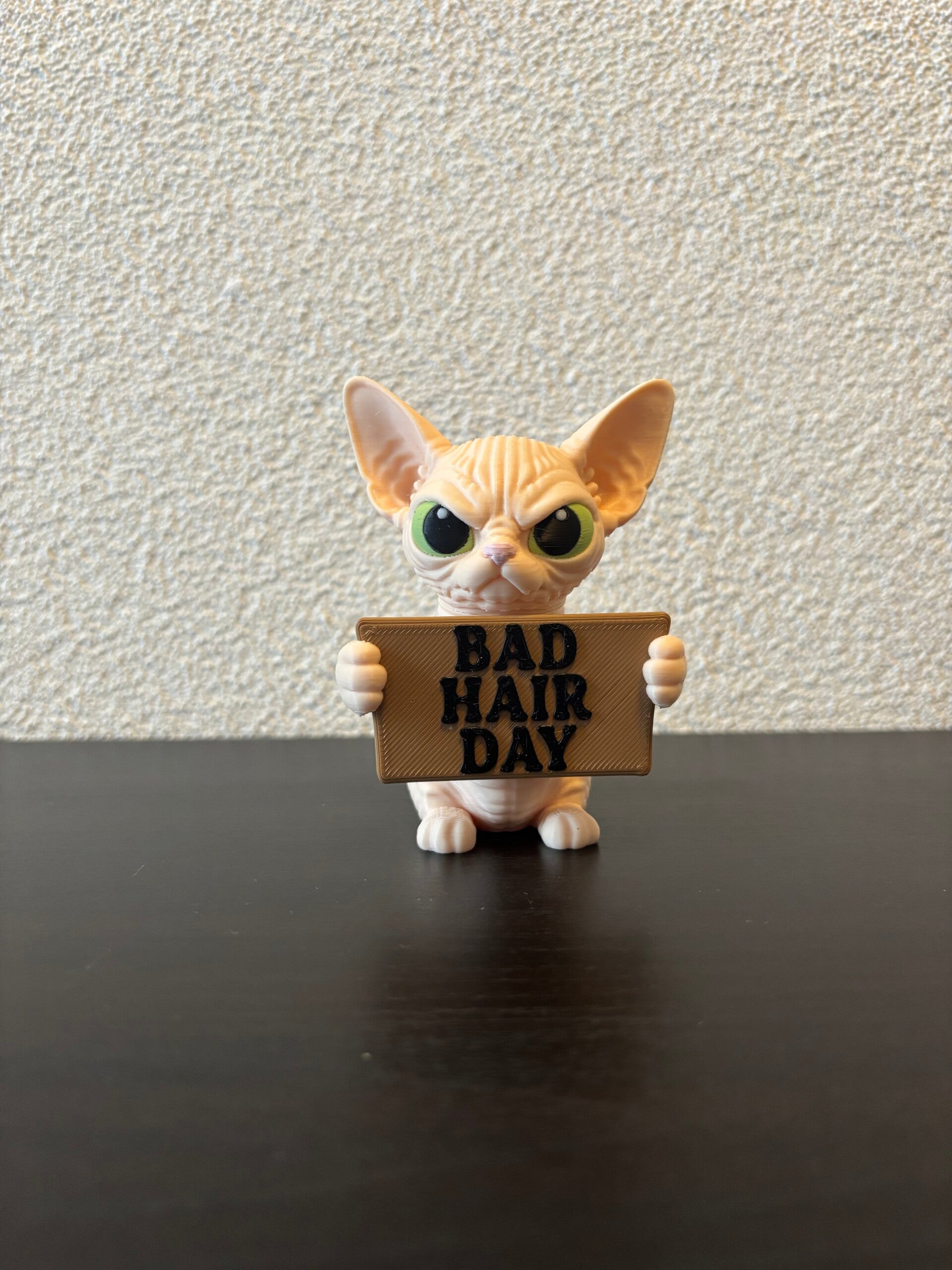Sphynx Cat (AwA)