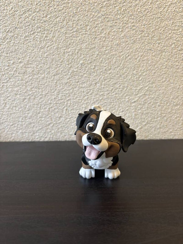 Berner Sennen puppy