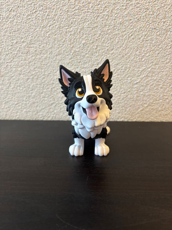 Bordercollie