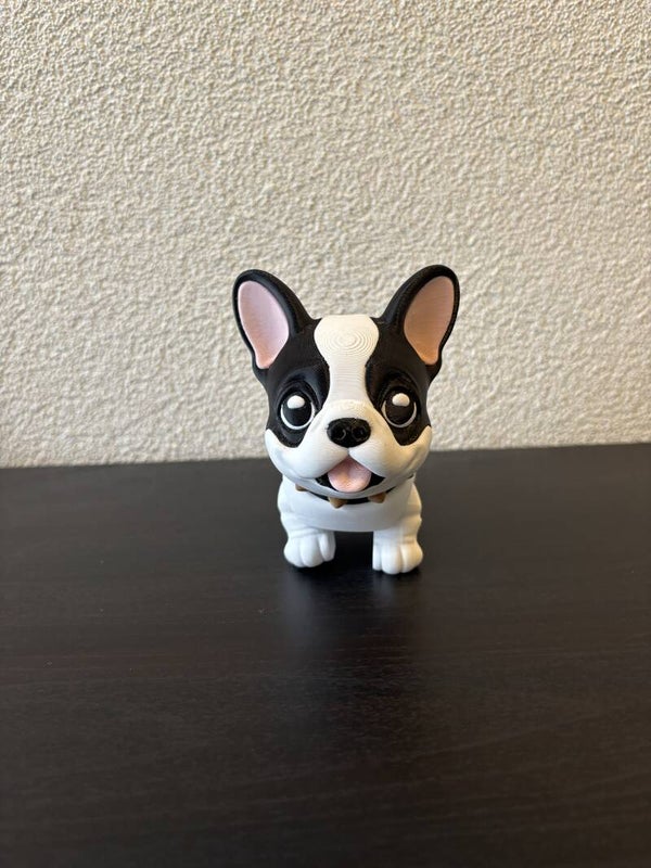 French Bulldog puppy