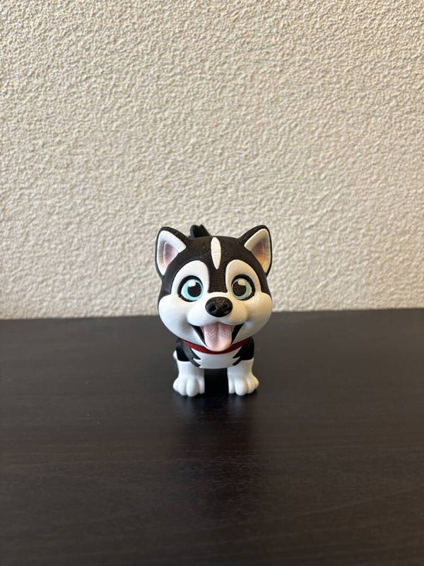 Husky puppy