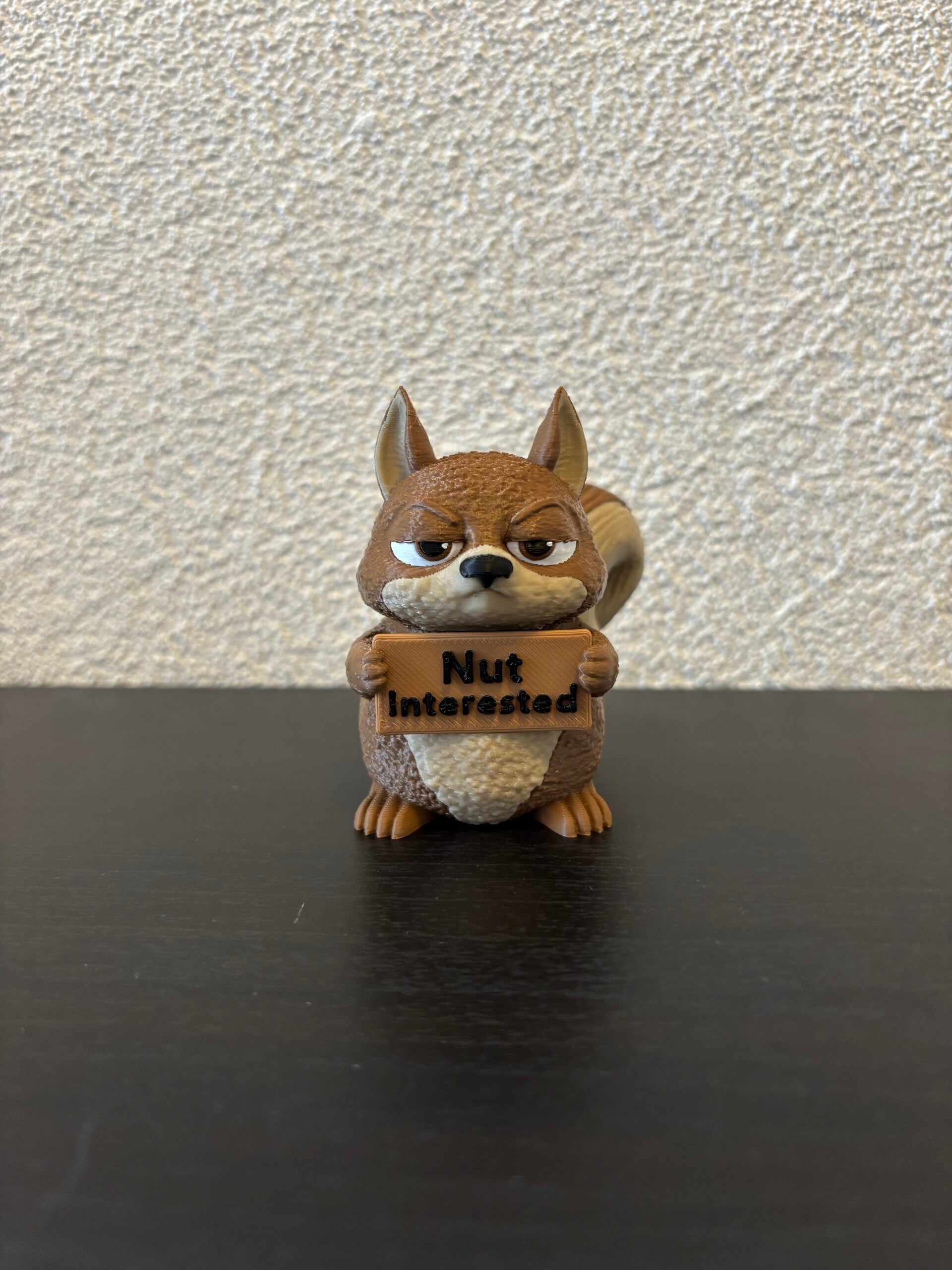 Squirrel (AwA)