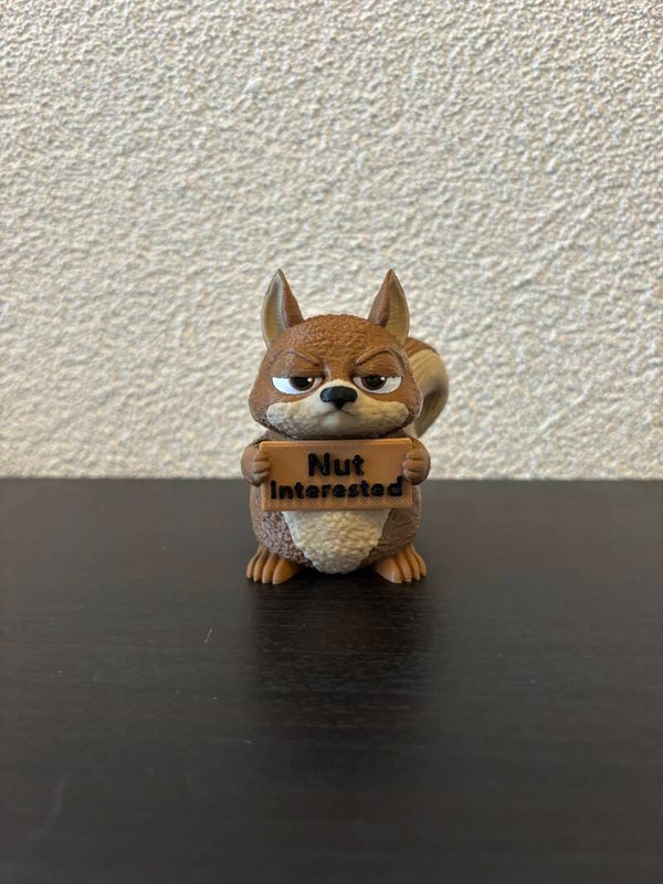 Squirrel (AwA)