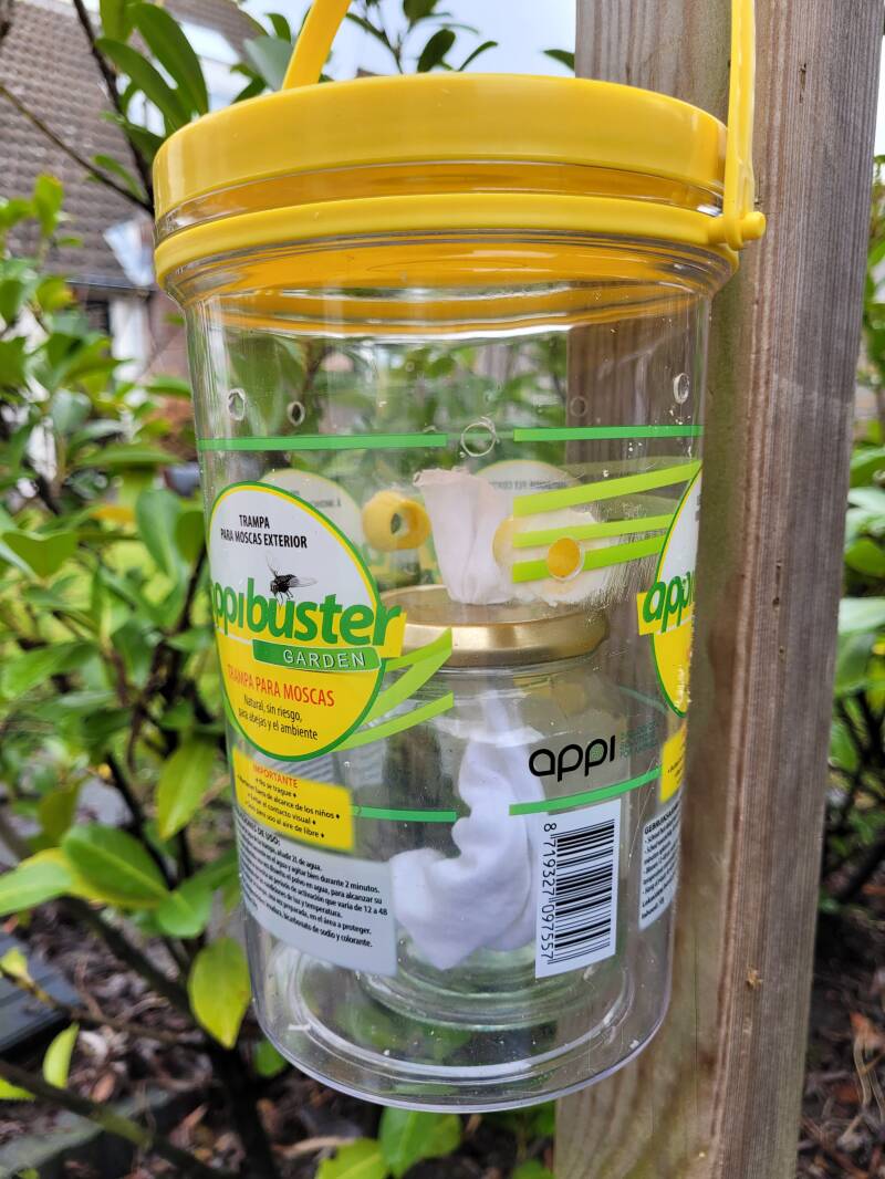 Aziatische hoornaar val met wiekpot