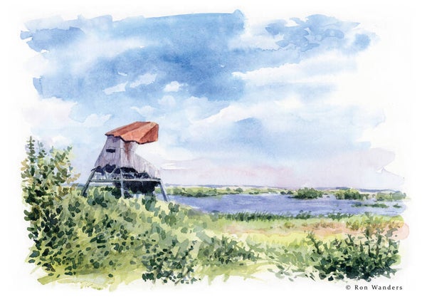 Markerwadden