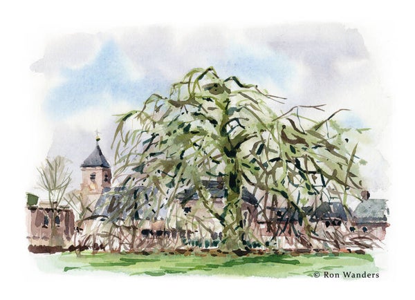 Print Treurbeuk Heino