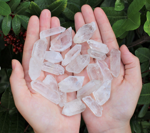 Crystal Point Pure Specimen Highest Quality Pre-Blessed Energetic & Beautiful