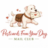 postcardsfromyourdog.com