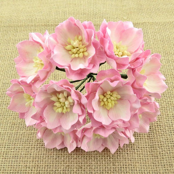 2TONE BABY PINK & IVORY LOTUS Mulberry Paper Craft Flowers Decoration Card Making Create Craft DIY Decorative Projects Flower Displays Paper Crafting Head Wrist Band Doll House Miniature Flowers Birthday Wedding Cards Floral Home Decoration Christening