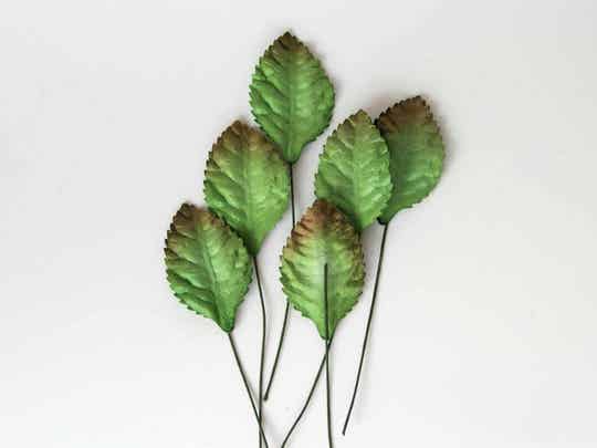 30x GREEN MEDIUM MULBERRY PAPER LEAVES  Craft Card Making Card Making Create Craft DIY Decorative Projects Flower Displays Paper Crafting Scrapbooking Doll House Minature Flowers Art Birthday Wedding Cards Floral Home Decor Christening Anniversary