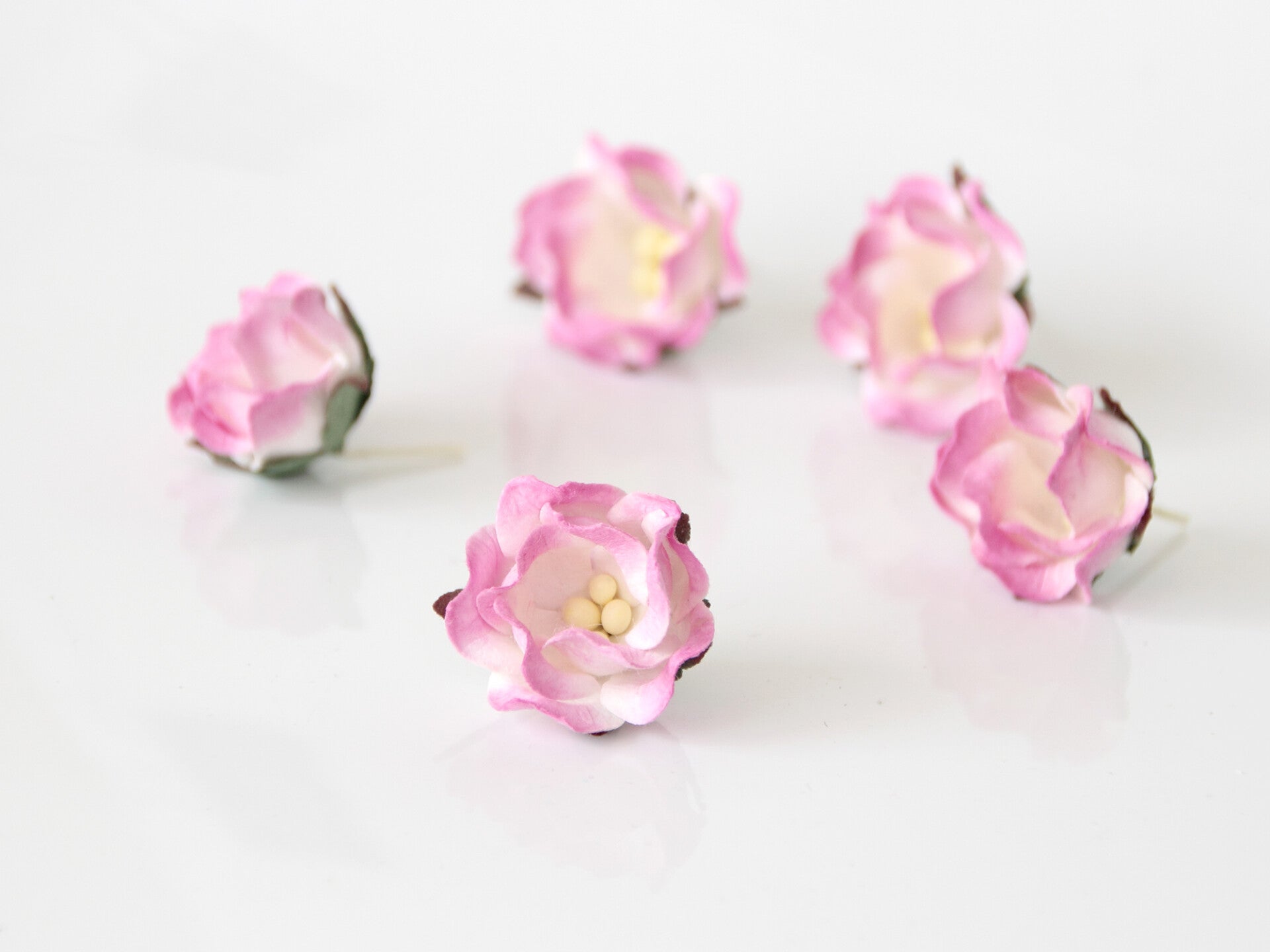 PINK and WHITE APPLE BLOSSOM Handcrafted Mulberry Paper Flowers Realistic Craft Embellishments Natural Renewable Materials Acid and Lignin-free