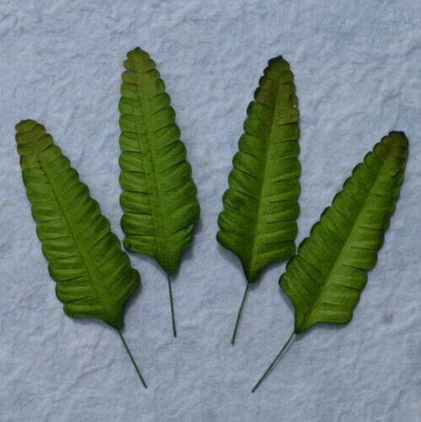 30 x Green Mulberry Paper FERN Leaves Craft Card Making Card Making Create Craft DIY Decorative Projects Flower Displays Paper Crafting Scrapbooking Doll House Minature Flowers Art Birthday Wedding Cards Floral Home Decoration Christening Anniversary