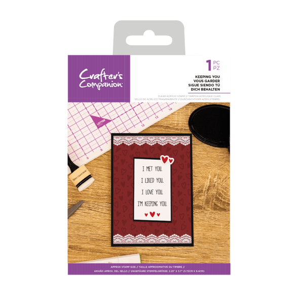 Crafter's Companion Clear Acrylic Quirky Sentiment Stamps KEEPING YOU