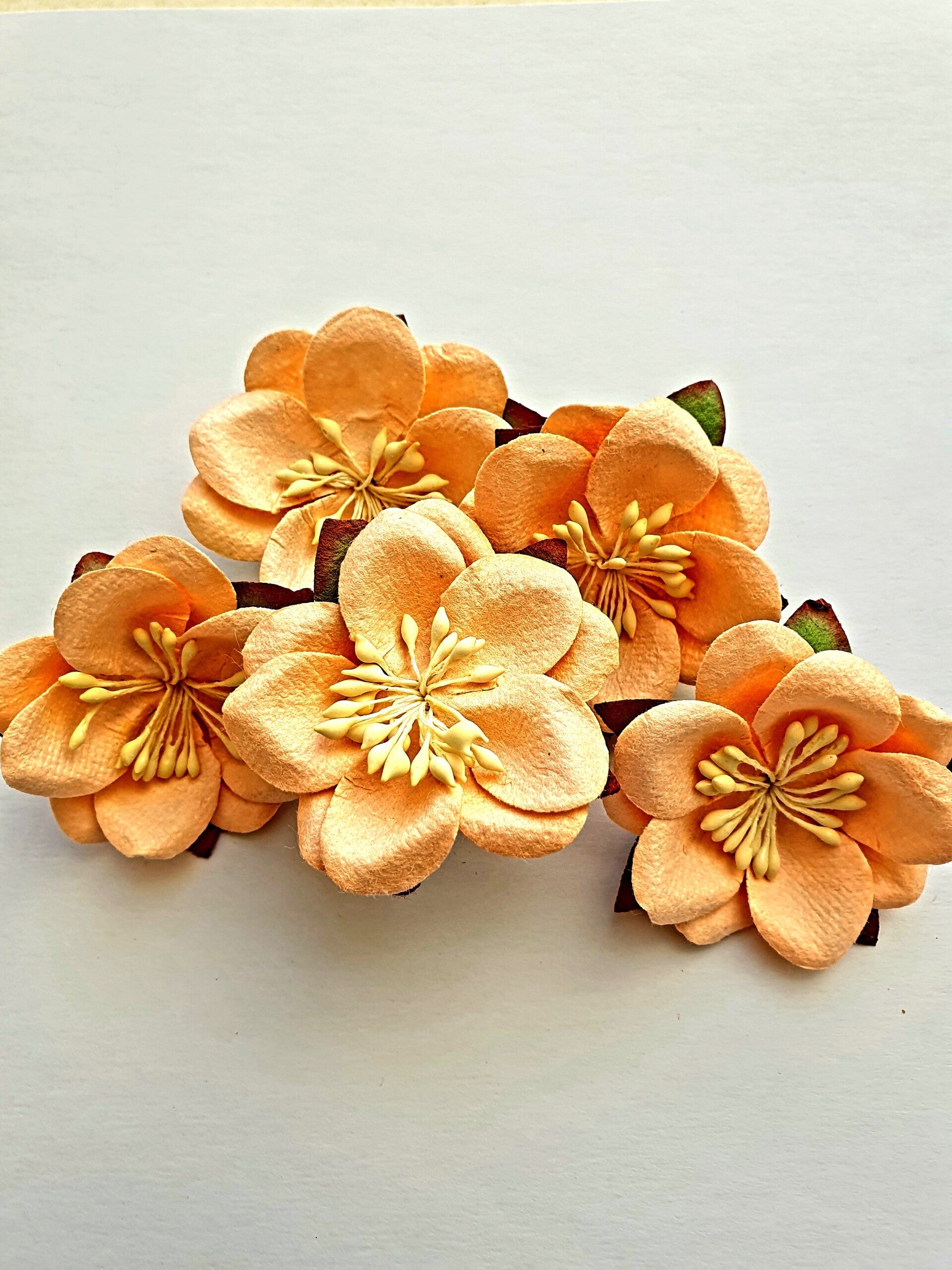 PEACH SAKURA Mulberry Paper Flowers Create Craft DIY Decorative Projects Cake Decoration Flower Displays Paper Crafting Head Band Garland Flowers Art Birthday Wedding Floral Arts Crafts Home Decor Hobby Gift Wrapping