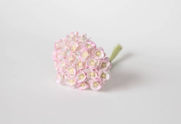 SOFT PINK and WHITE MINI CHERRY BLOSSOM Mulberry Paper Flowers Crafting Card Making Create Craft DIY Decorative Projects Paper Crafting Scrapbooking Doll House Flower Art Birthday Cards Floral Home Decoration Christening Anniversary New Baby Gift Wrapping