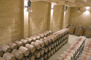 Photo of cellar Rubino