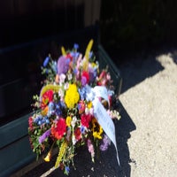 img-20180714-wa0003-standard.jpg
