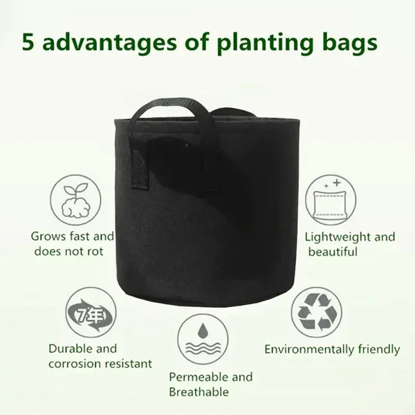 Stoner Pot's 5-pack
