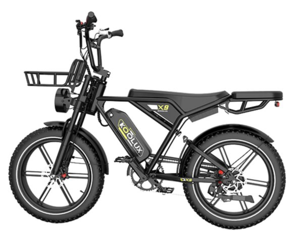 X9 Fatbike - Dubbel accu