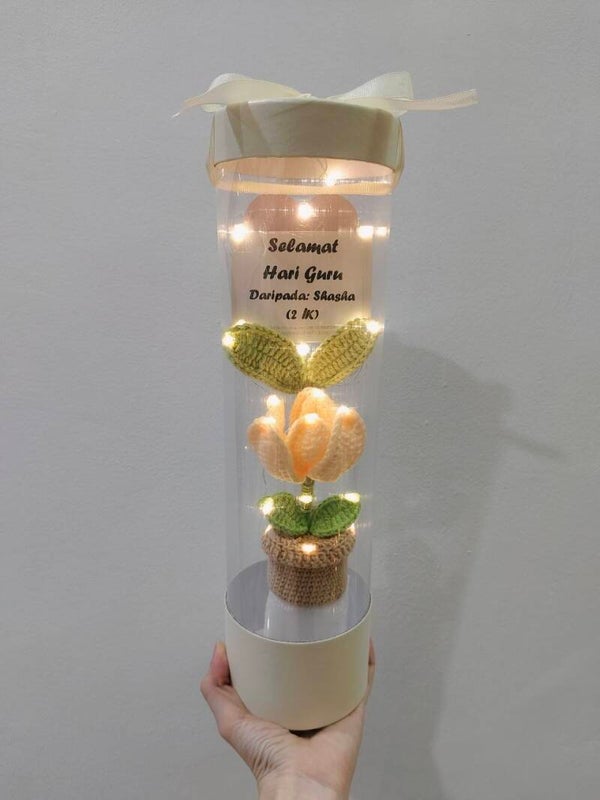 CYL0031 Yellow tulip capsule