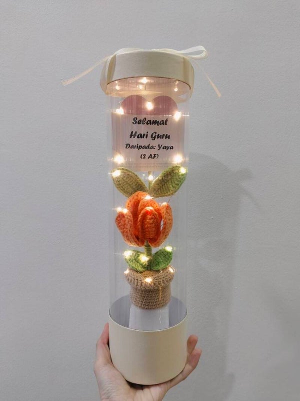 CYL0032 Orange tulip capsule
