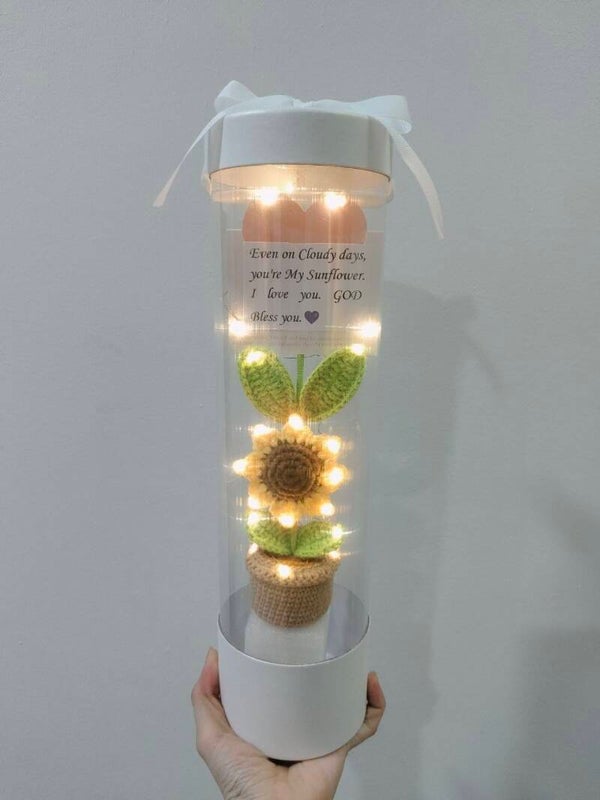 CYL0034 Sunflower capsule