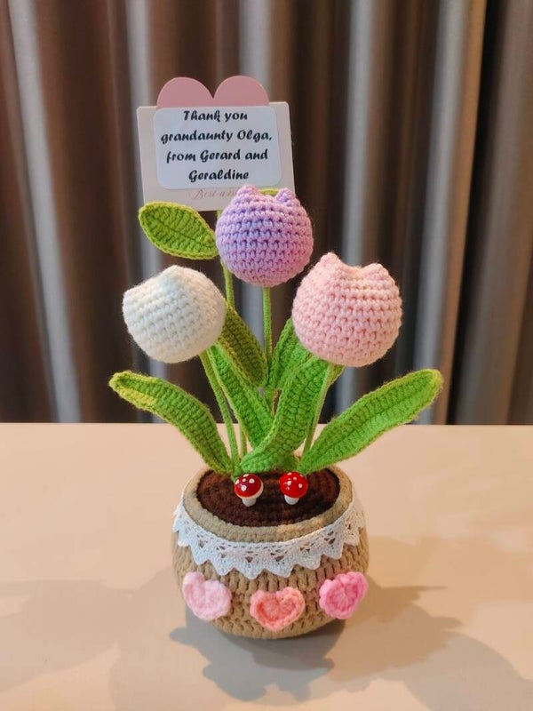 PCL0095 Purple pink tulip pot