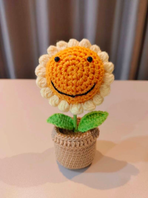 PMN0005 Round smiley flower pot