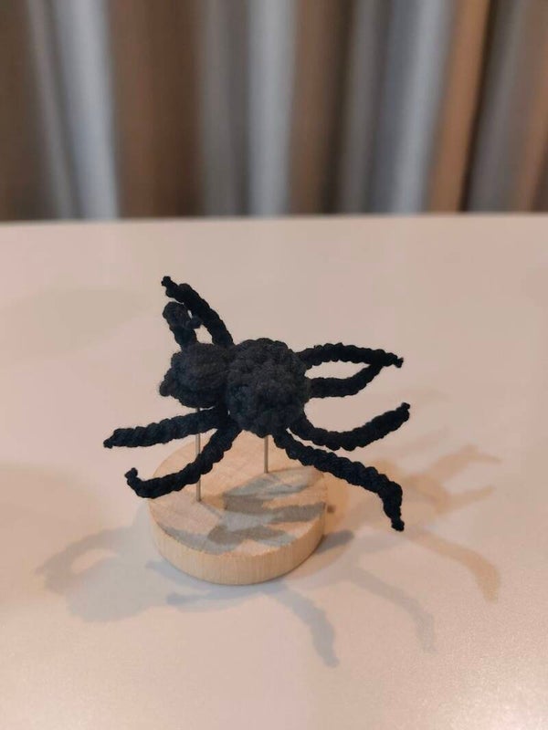 TND0199 Spider