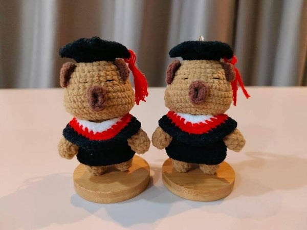 TND0224 Capybara doll (each)