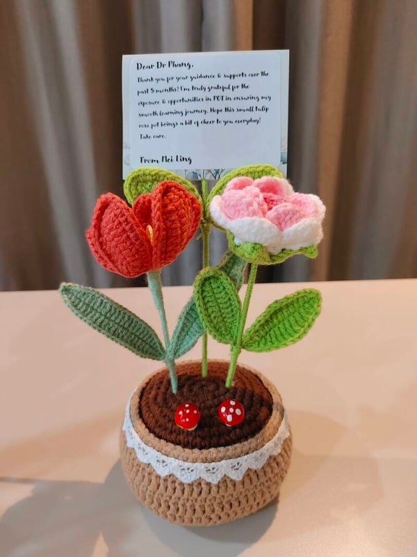 PCL0079 Red tulip rose pot