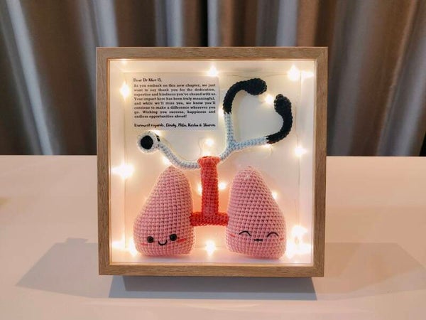 FCW0027 Medical frame