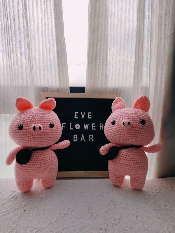 TND0062 Piggy special