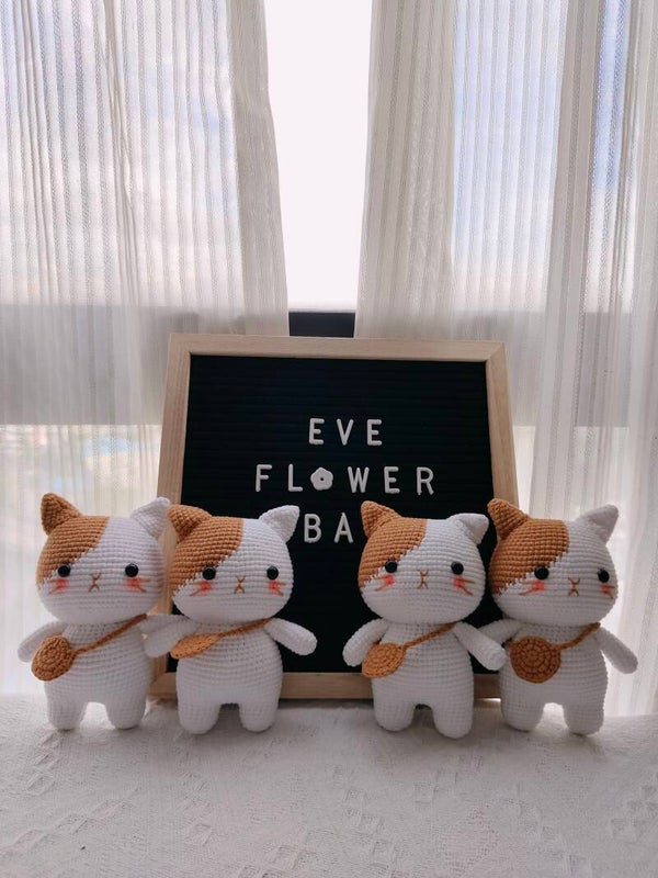 KAL0028 Brown white cat