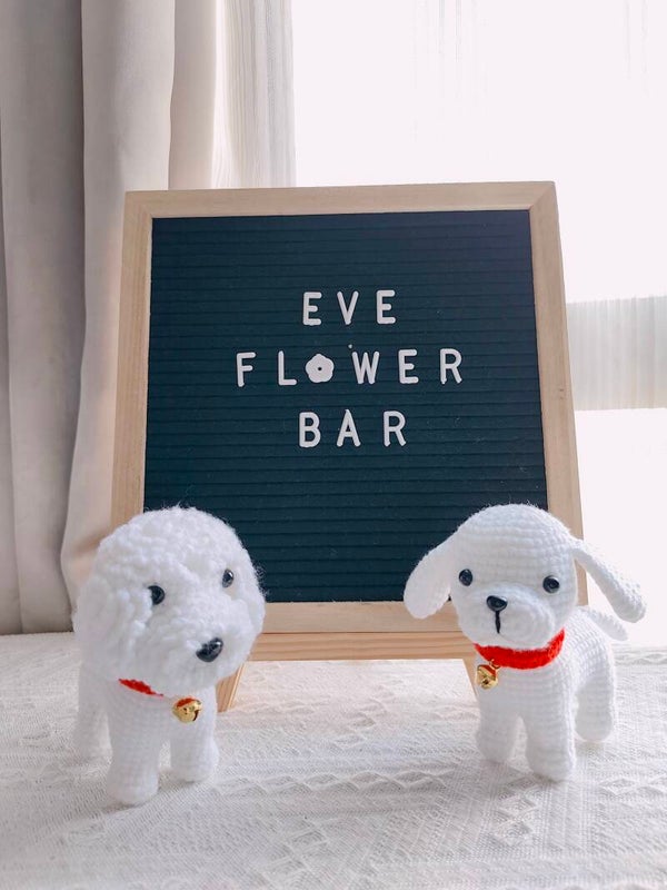 TND0065 White dog special