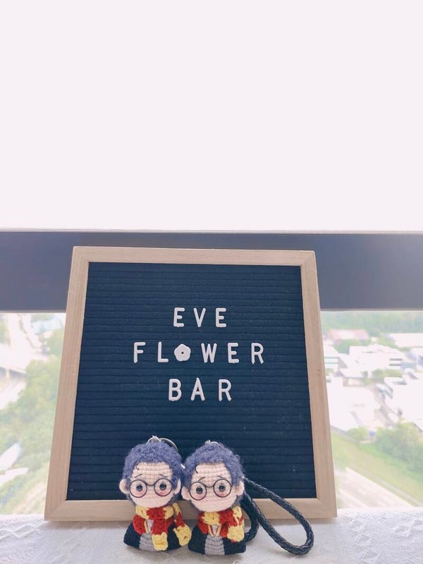 TND0044 Harry Potter