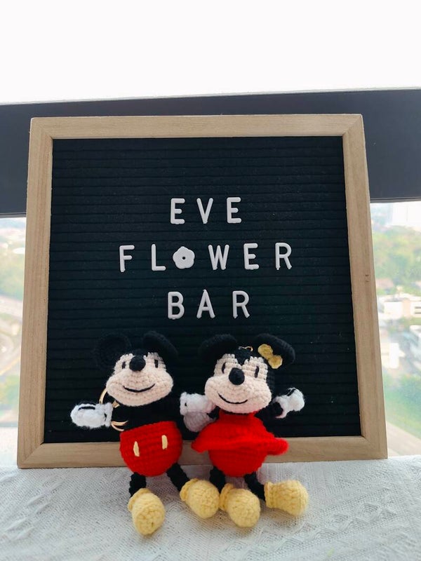 KCH0034 Mickey Minnie Special